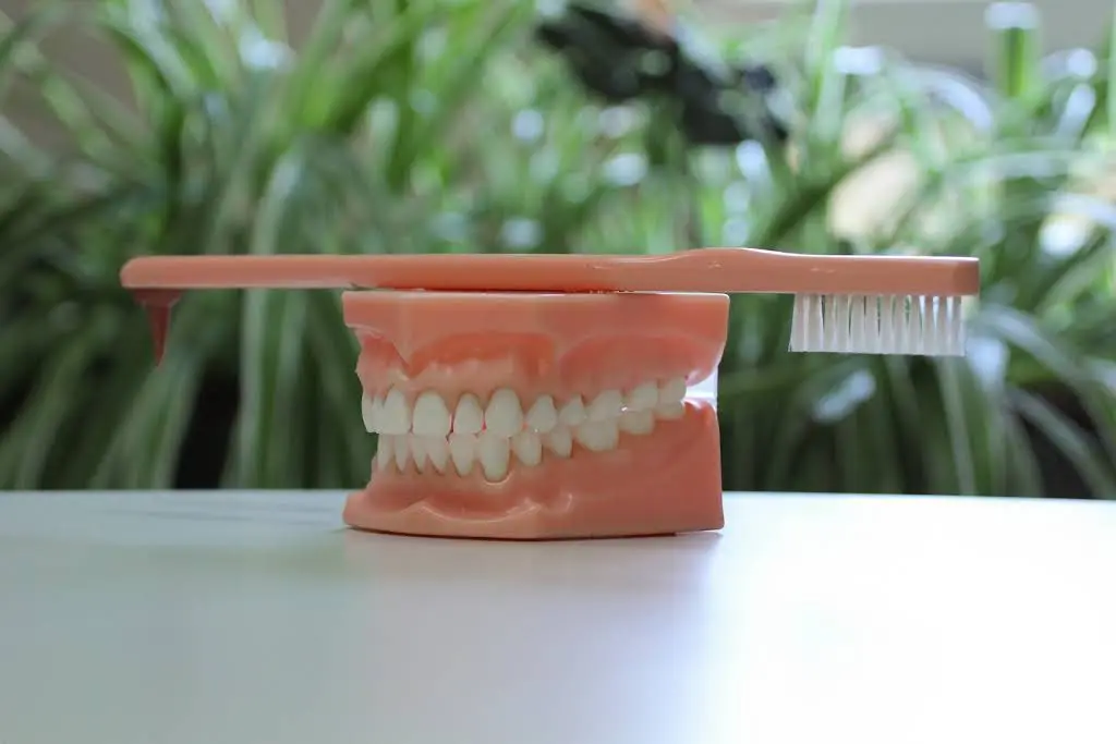 Fisher Distinctive Dentistry