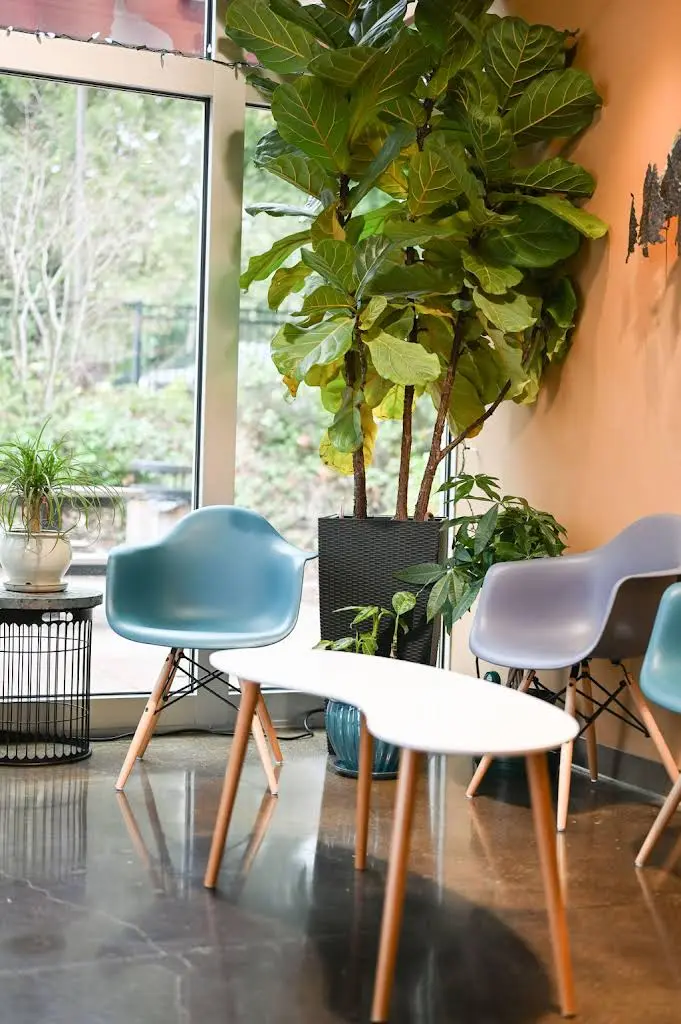 Harbor Hill Dentistry and Airway Center