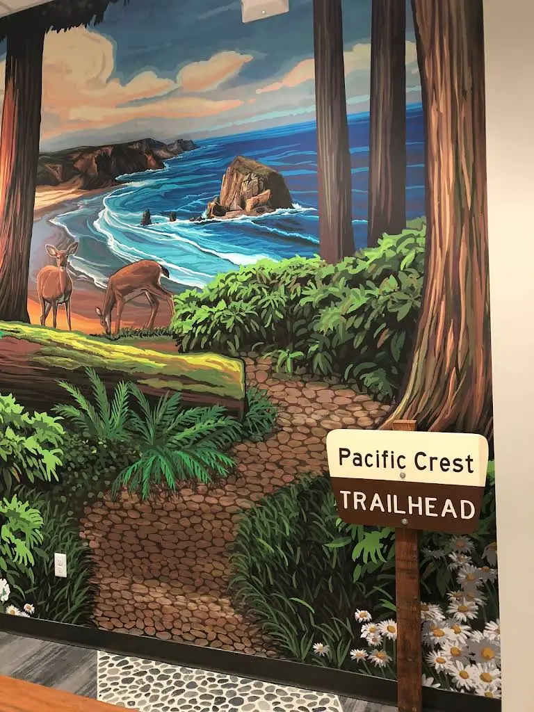 The Kids' Dentist Gig Harbor