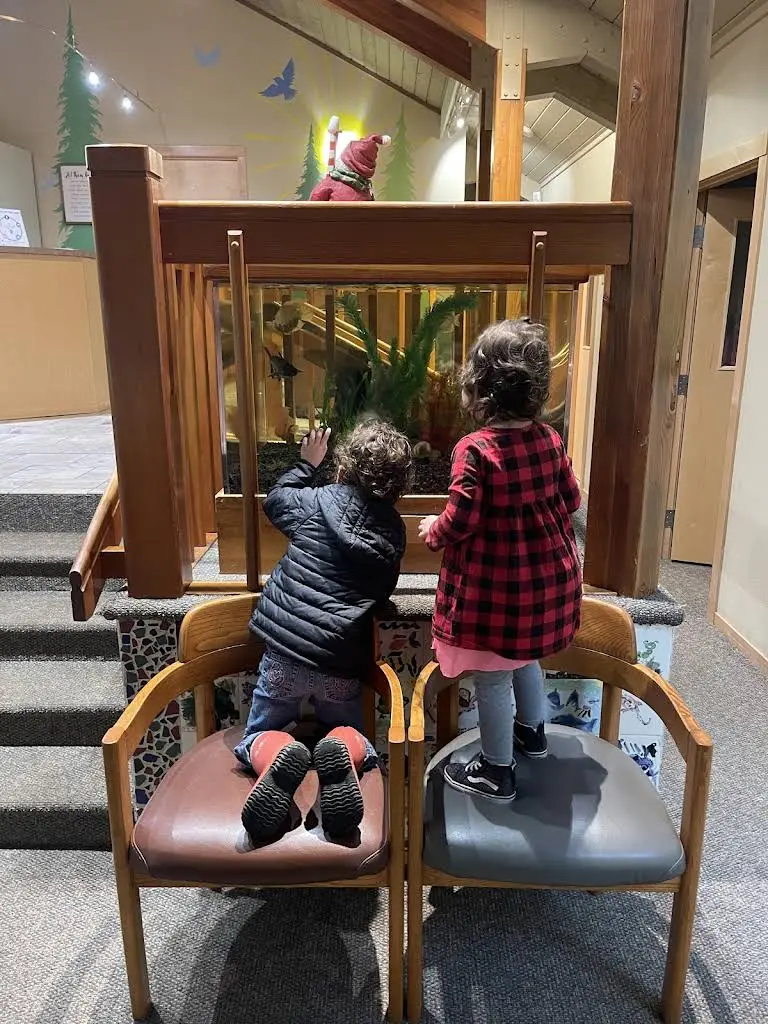 Dentistry For Children