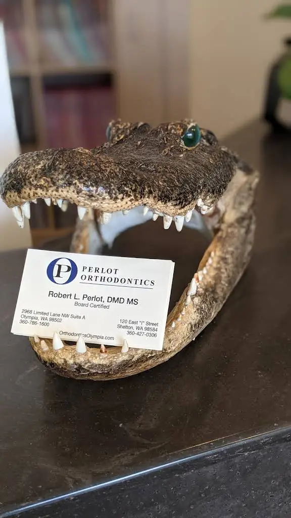 Perlot Orthodontics