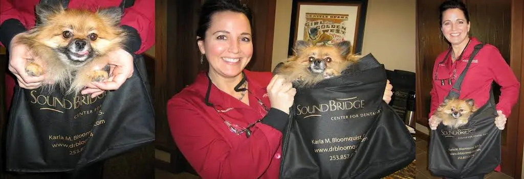 SoundBridge Dental Arts