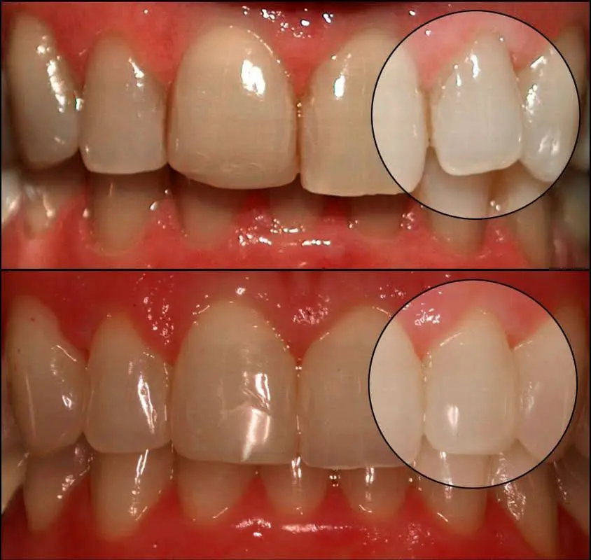 Sean Murphy DDS