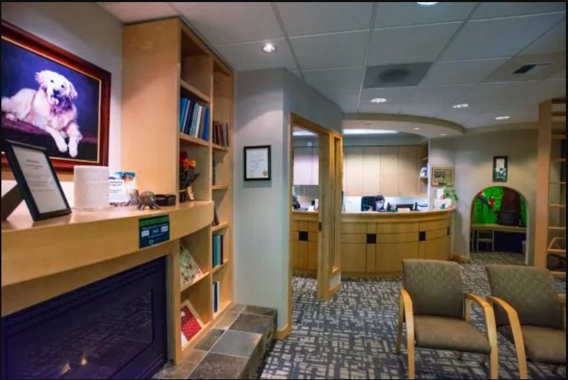 Issaquah Plateau Dentistry