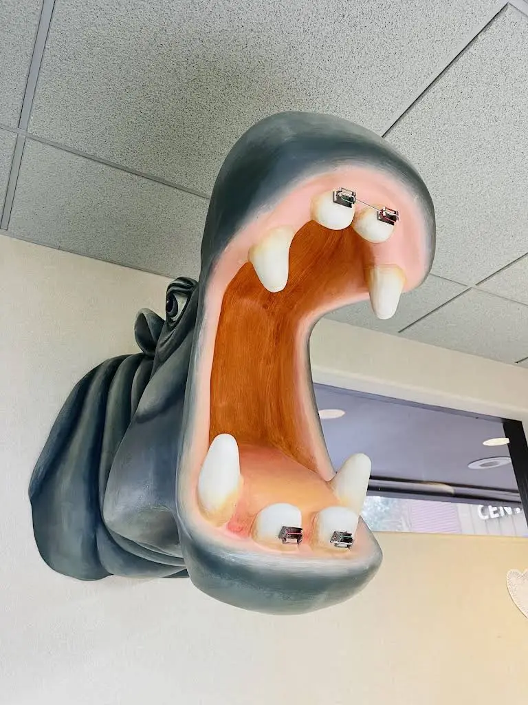 Andrew J. Kapust DDS, PS Orthodontics and Pediatric Dentistry