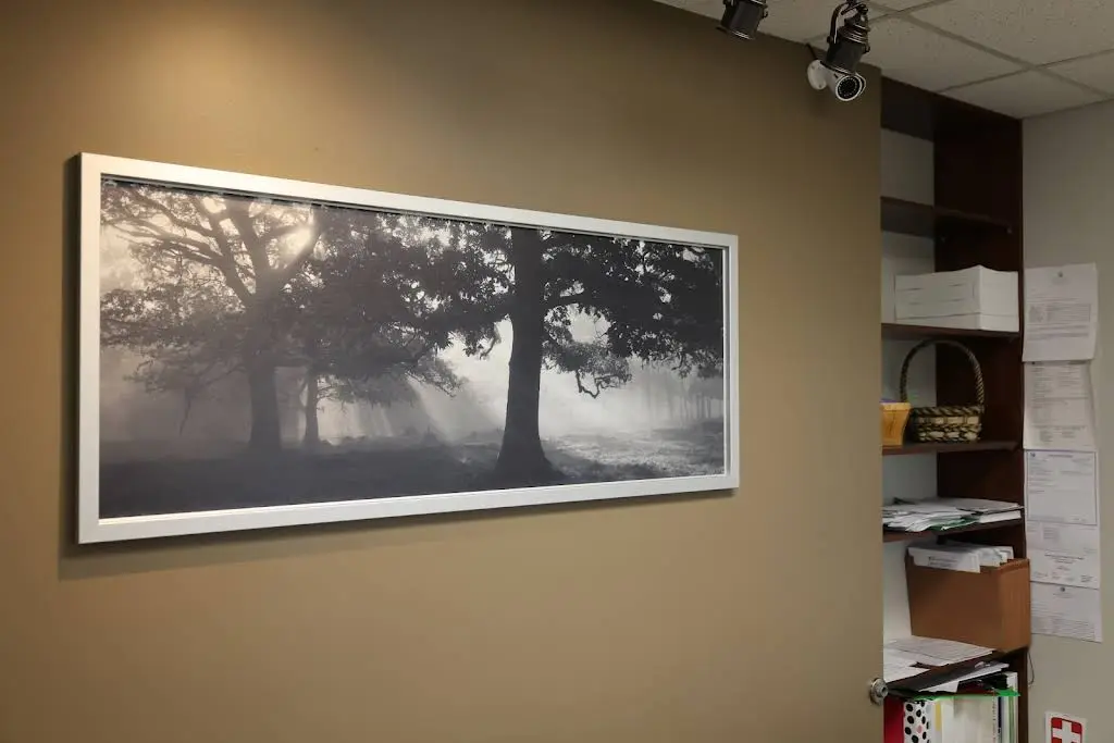 Serenity Dental