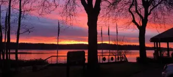 Puget Sound Endodontic Associates