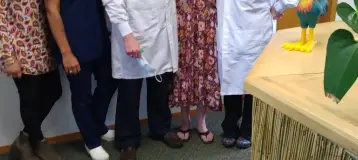 Aloha Dental