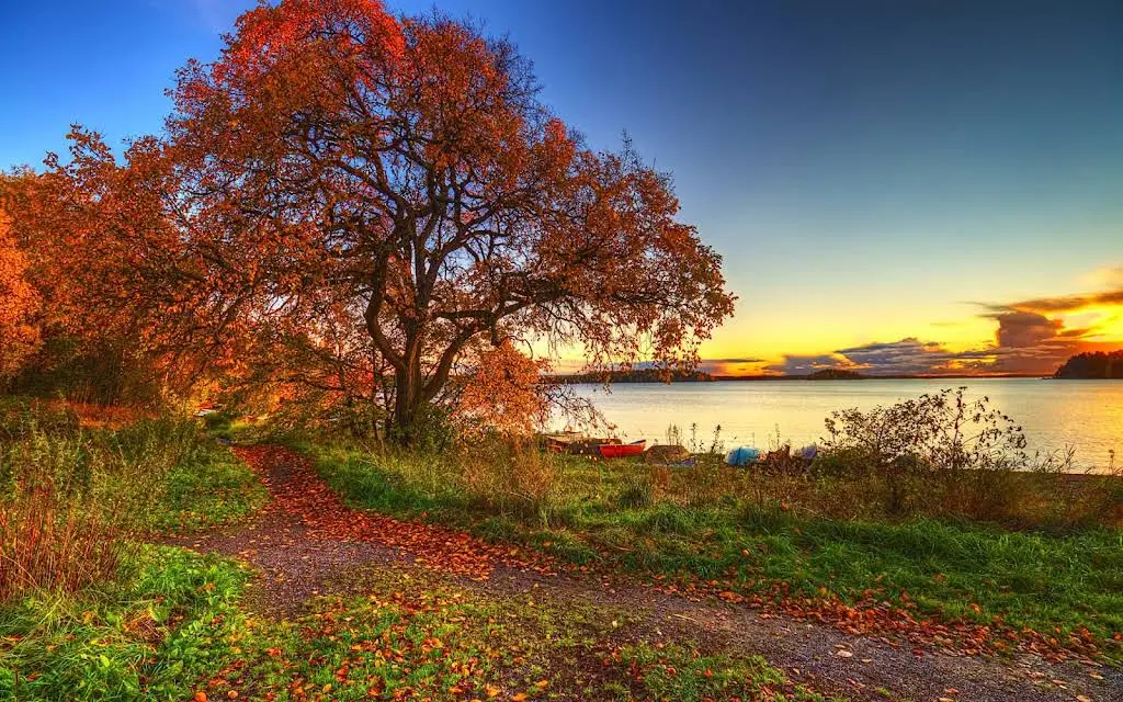 Issaquah Dental Health