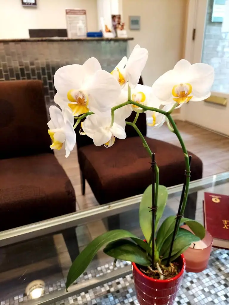 Millennium Dental Clinic