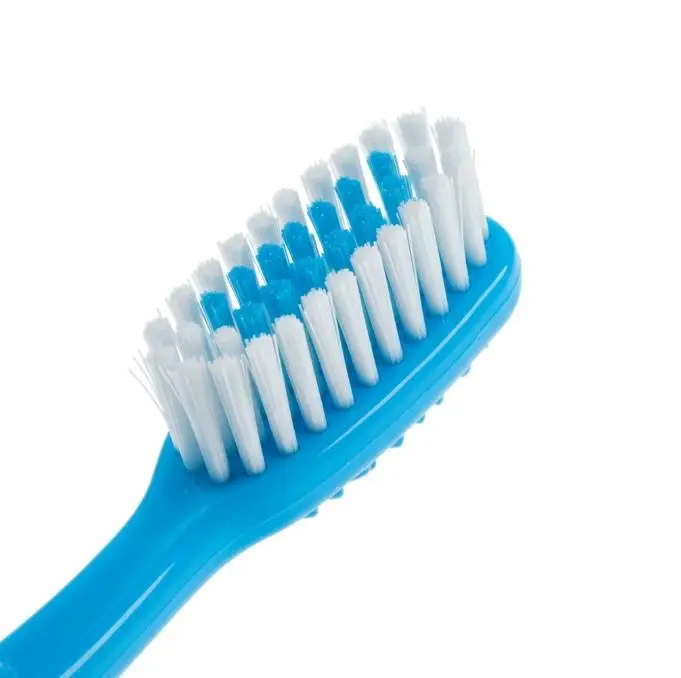 Creekside Dental