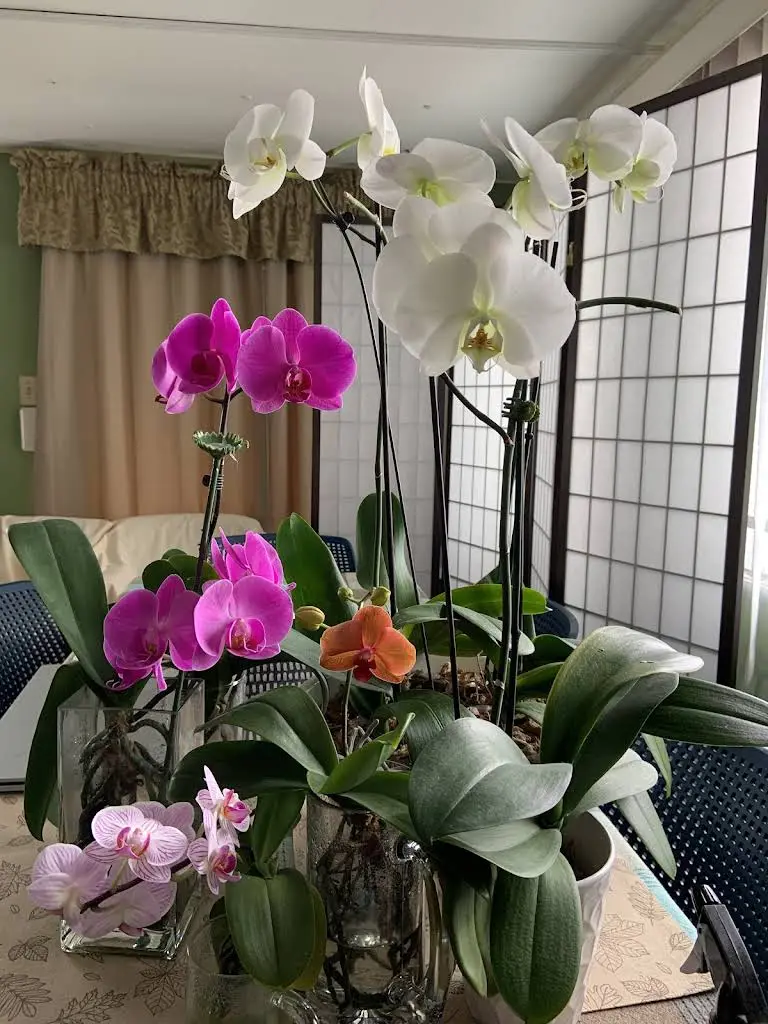 Tacoma Family Dental