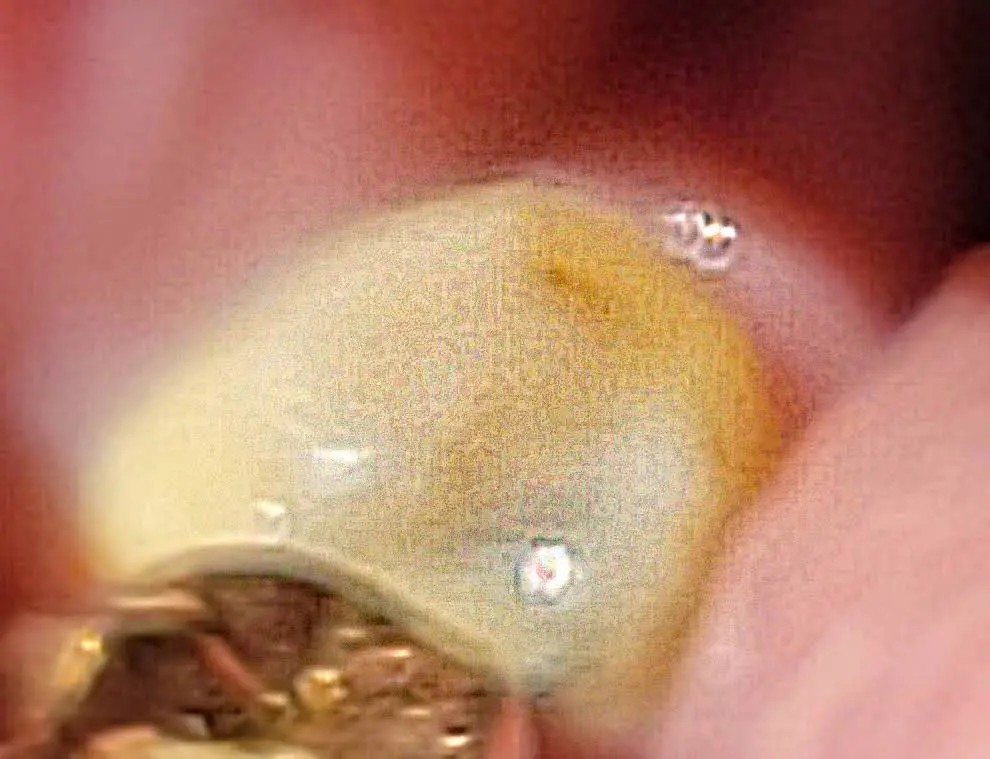 Grand Corner Dental: Stephen Griffith DMD