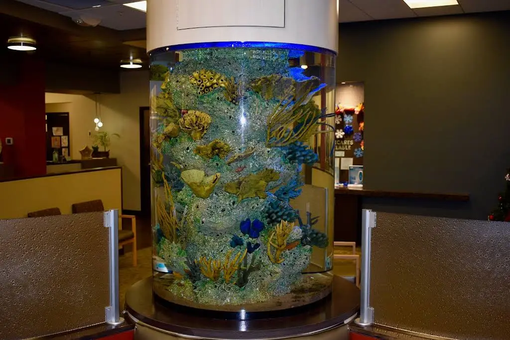 Children's Choice Pediatric Dentistry