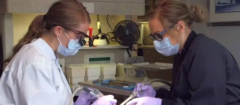 Twin City Dental