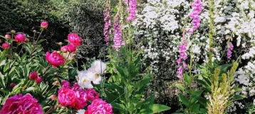 Ihland Garden Dental Care