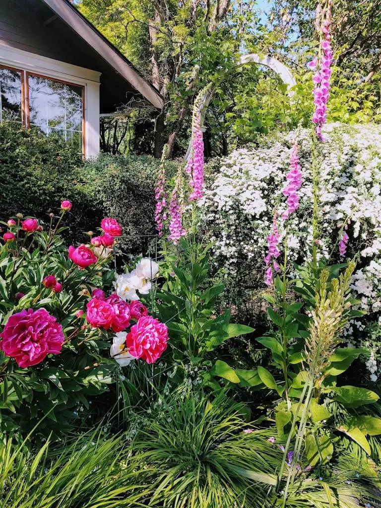 Ihland Garden Dental Care
