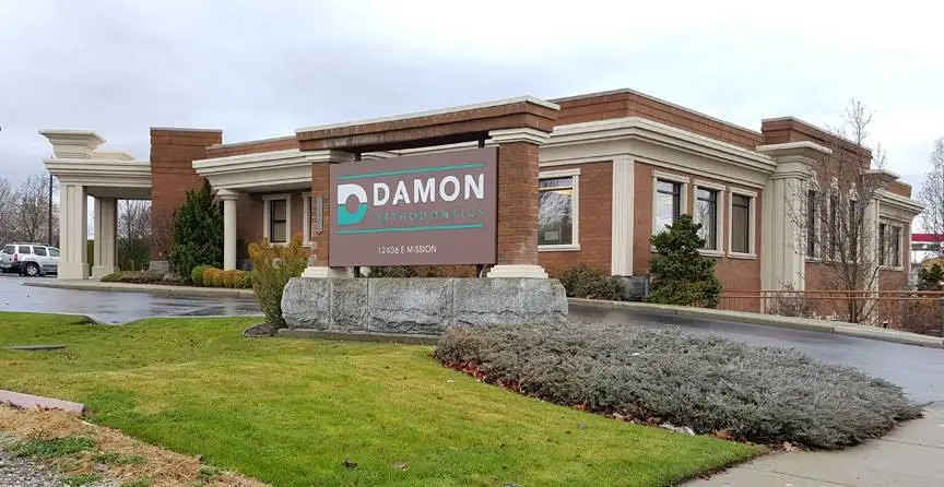 Damon Orthodontics