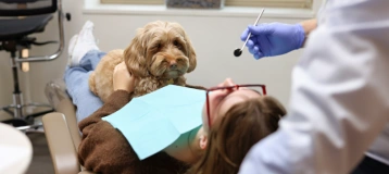 Seattle Dental Associates