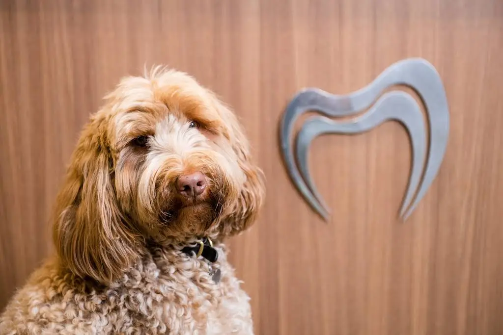 Gilbreath Dental