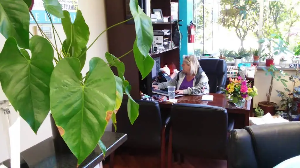 Sunrise Dental of Federal Way