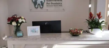 Elevated Pet Dentistry