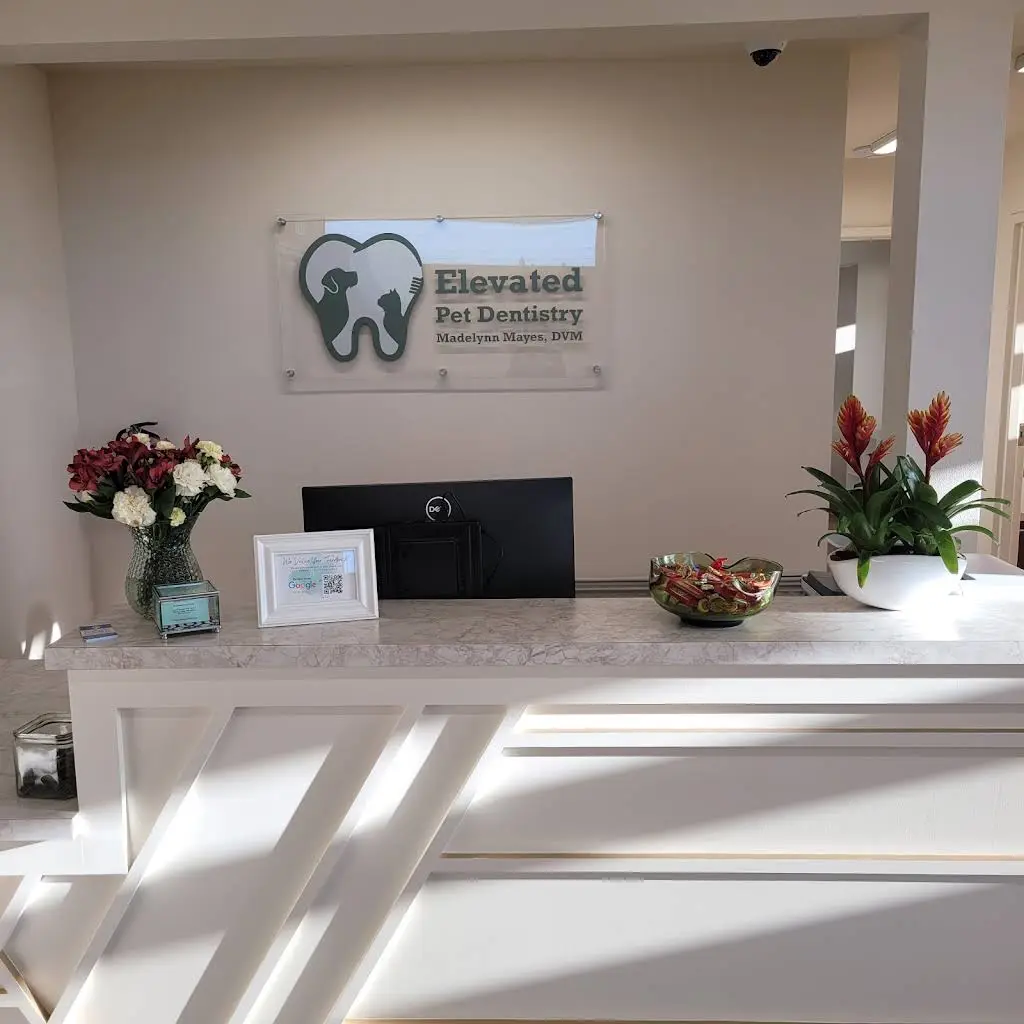 Elevated Pet Dentistry