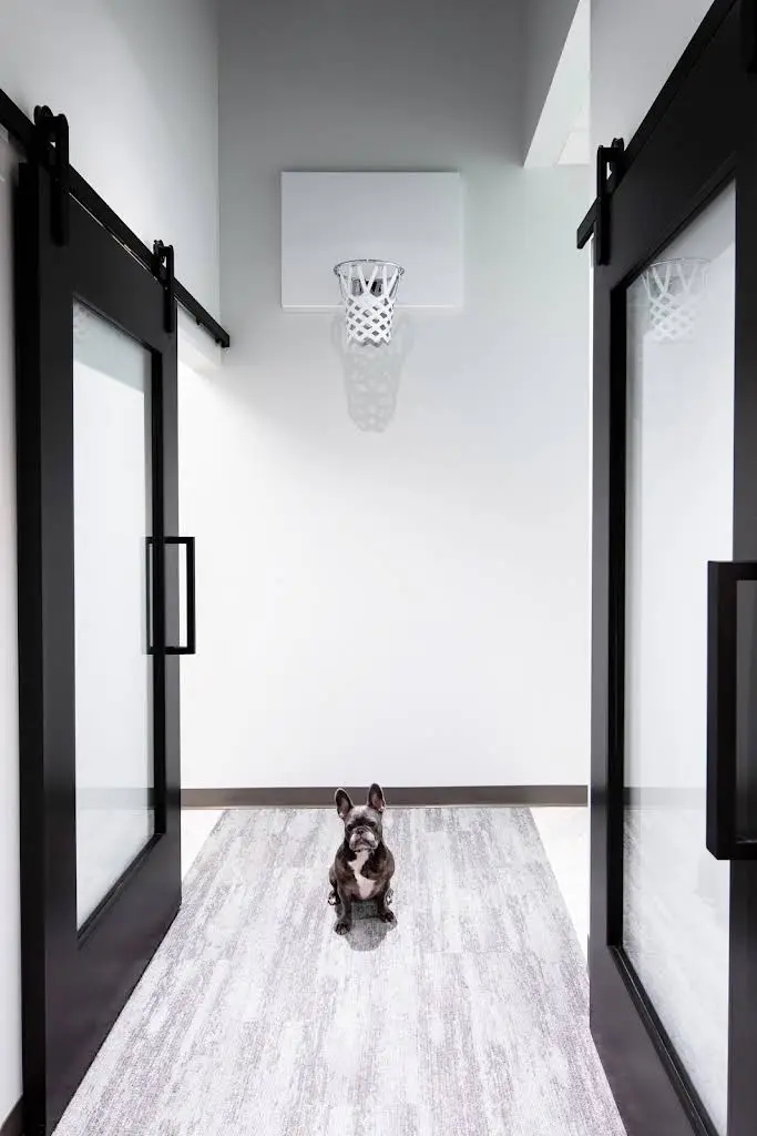 The Smile Space