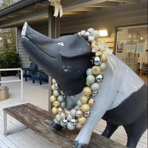 Your Dentist