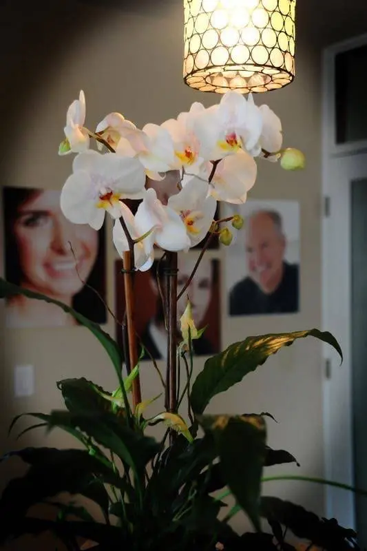 Ziegele Smile Studio