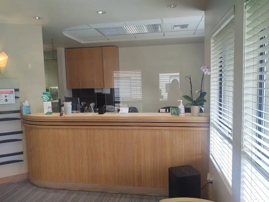 The Local Dentist