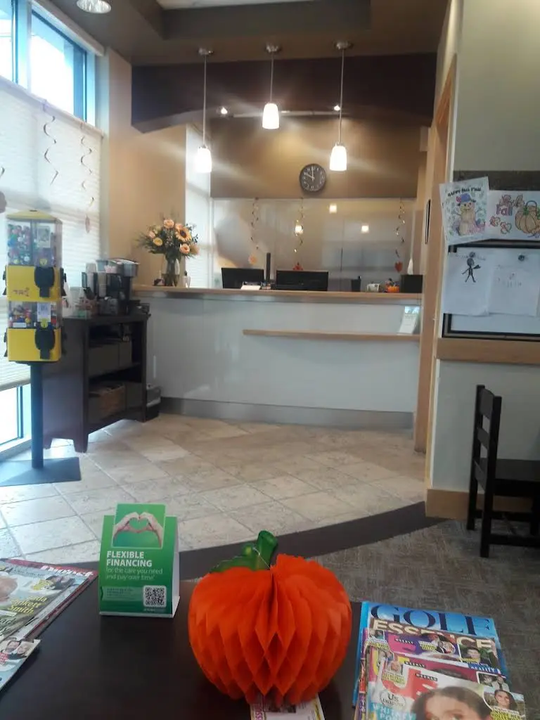 All Family Dental Care