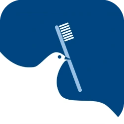 Bellevue Dental Care