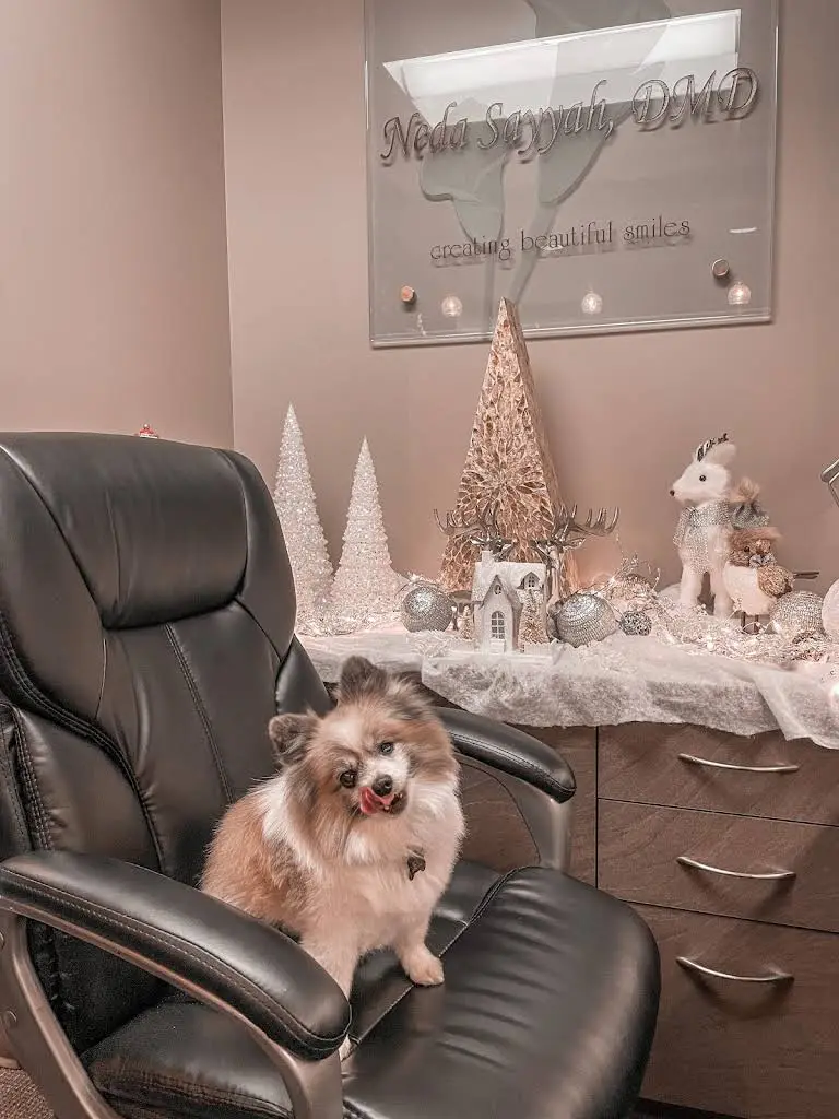 Exceptional Cosmetic & General Dentistry: Neda Sayyah, DMD