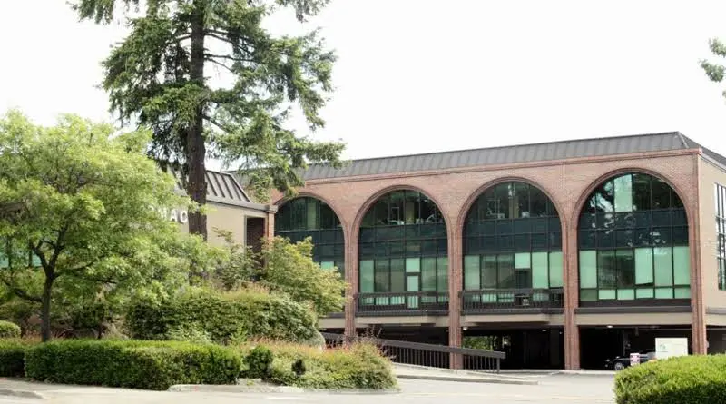Dentistry In Bellevue