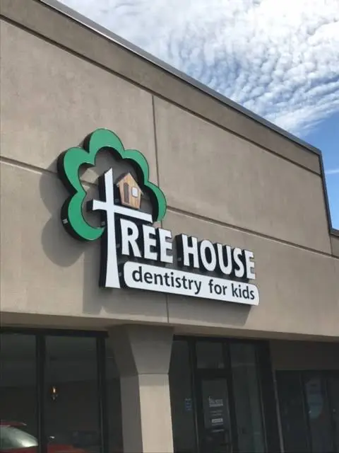 Tree House Dentistry for Kids