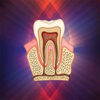 Ecologic Dentistry