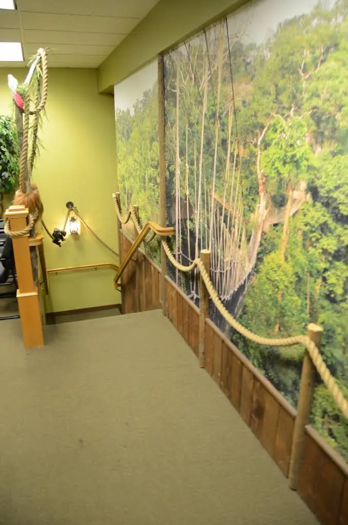 Childrens Dental Care & Orthodontics