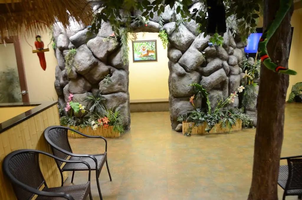 Childrens Dental Care & Orthodontics