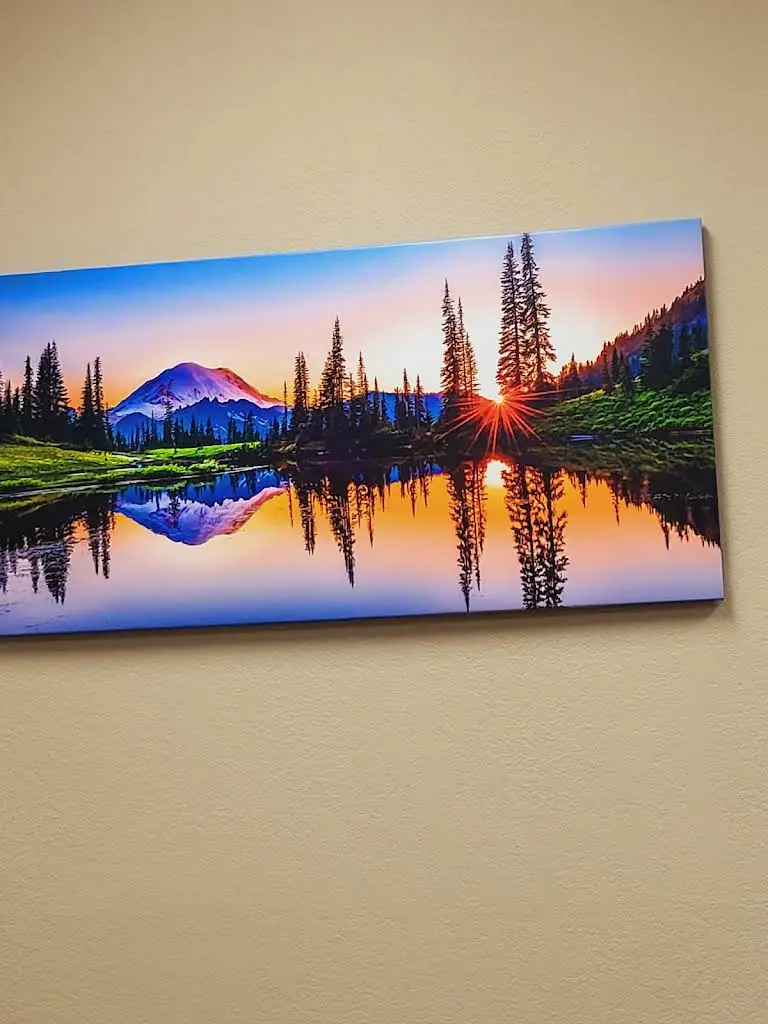 Puget Sound Dental Wellness