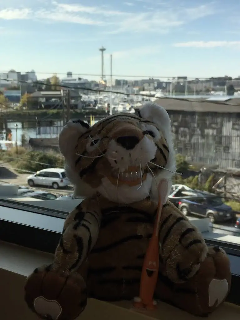 Lake Union Dentistry