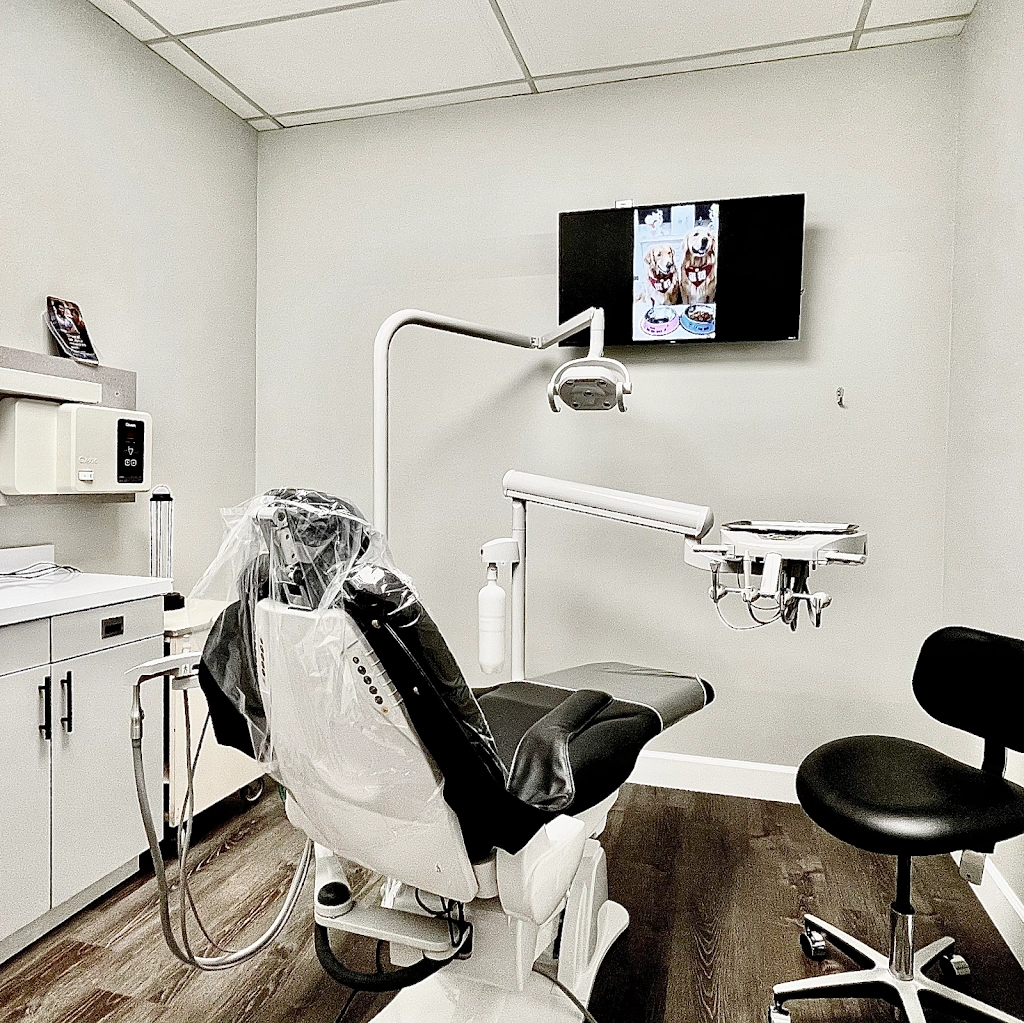 Best Dentistry