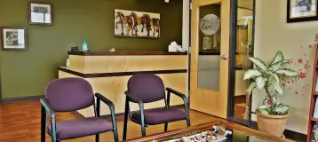 Care Dental