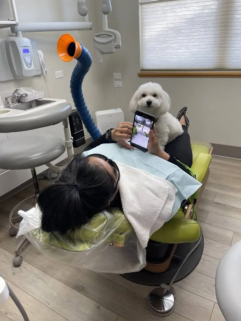 Snapp Dental
