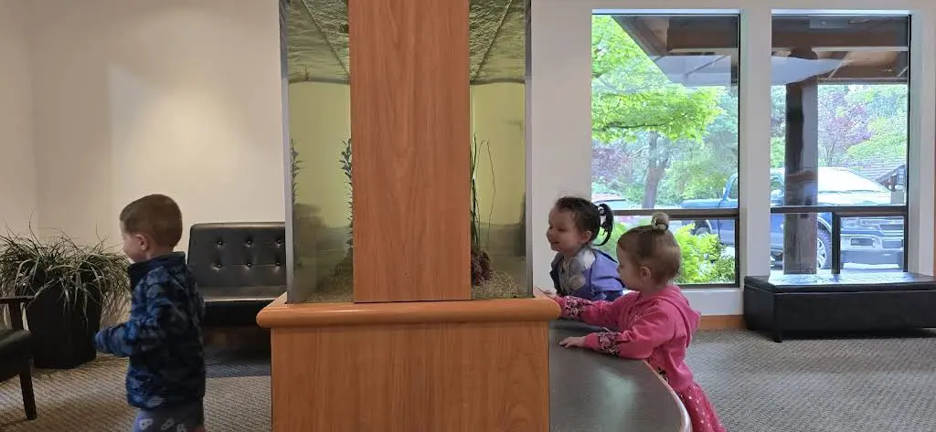 Bellevue Kids Dentist