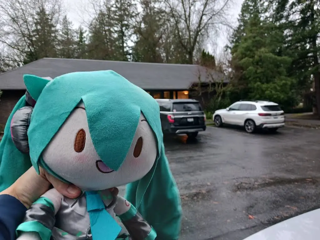 Bellevue Kids Dentist