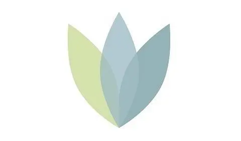 Lake City Dental Group