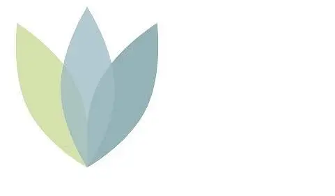 Lake City Dental Group