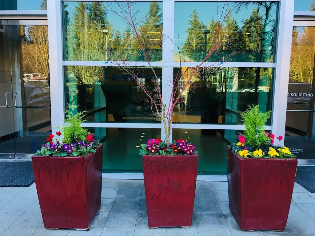 Lynnwood Periodontics & Implants