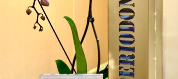 Orchid Periodontics and Dental Implants